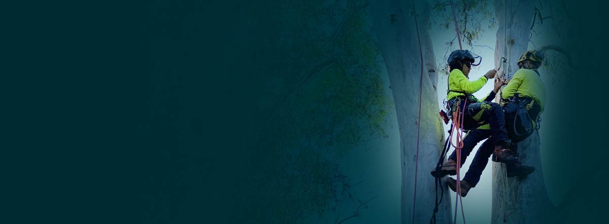 Training, Advisory & Compliance Specialists