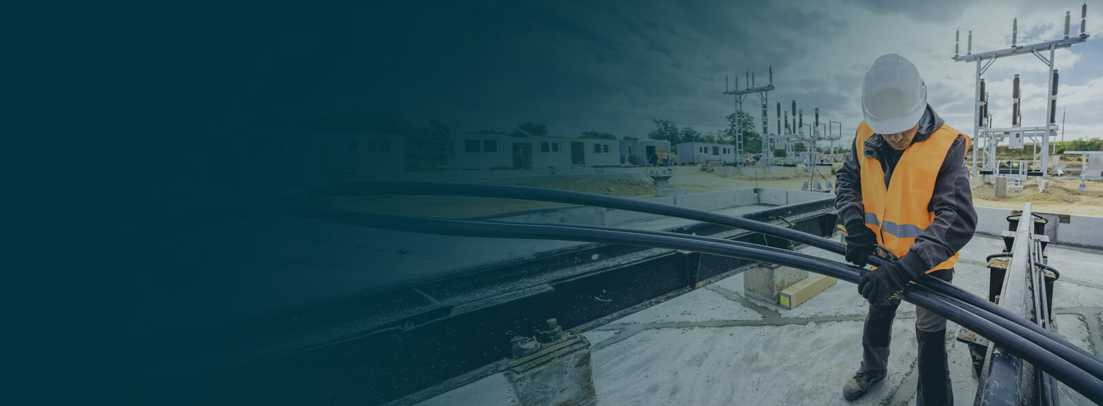 Training, Advisory & Compliance Specialists