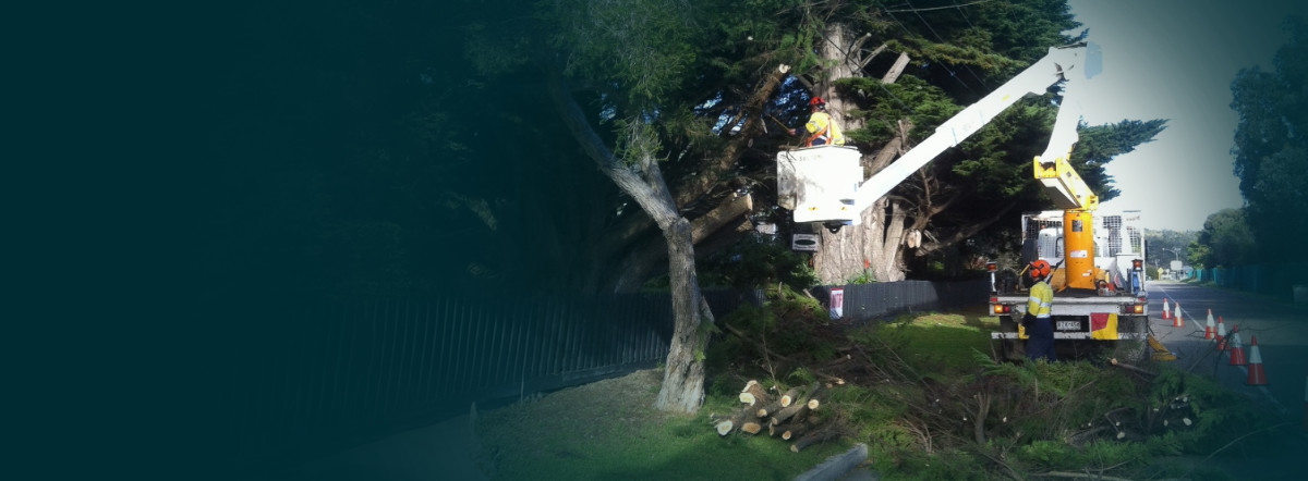 Training, Advisory & Compliance Specialists