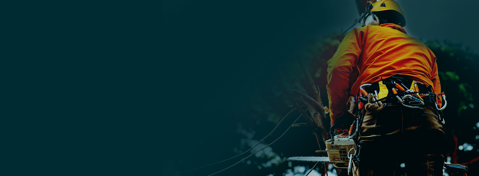 Training, Advisory & Compliance Specialists